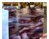 240868_6 thumbnail image