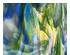 240884_1 thumbnail image