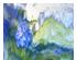 240884_2 thumbnail image