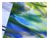 240884_4 thumbnail image