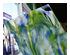240884_5 thumbnail image