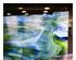 240884_6 thumbnail image