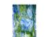 240884_8 thumbnail image