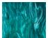 240889_1 thumbnail image