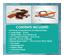 240913_4 thumbnail image