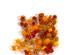 240937_1 thumbnail image