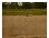 240990_2 thumbnail image