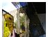 240990_4 thumbnail image