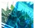 240998_2 thumbnail image