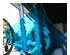 240998_3 thumbnail image