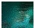 241006_1 thumbnail image