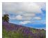 241010_7 thumbnail image