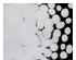 241060_2 thumbnail image