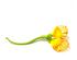 241065_4 thumbnail image