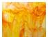 241067_2 thumbnail image