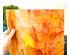 241067_5 thumbnail image