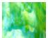 241072_2 thumbnail image