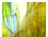 241077_2 thumbnail image