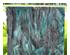 241087_1 thumbnail image