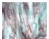241087_2 thumbnail image