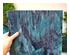 241087_5 thumbnail image