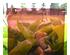 241092_1 thumbnail image