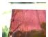 241092_3 thumbnail image