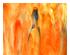 241102_2 thumbnail image