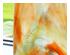 241102_3 thumbnail image
