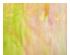 241107_2 thumbnail image