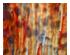 241112_2 thumbnail image