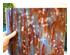 241112_5 thumbnail image