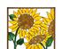 241120_6 thumbnail image