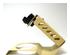 241124_1 thumbnail image