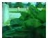 241131_2 thumbnail image