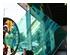 241143_3 thumbnail image