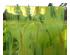 241147_1 thumbnail image