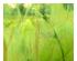241147_2 thumbnail image