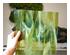 241147_5 thumbnail image