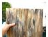 241164_5 thumbnail image