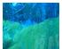 241172_2 thumbnail image