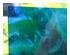 241172_3 thumbnail image