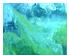 241176_2 thumbnail image