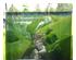 241188_1 thumbnail image