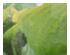241188_2 thumbnail image