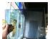 241188_4 thumbnail image