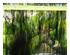 241192_1 thumbnail image