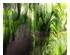 241192_2 thumbnail image
