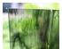 241192_3 thumbnail image