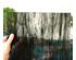 241192_5 thumbnail image